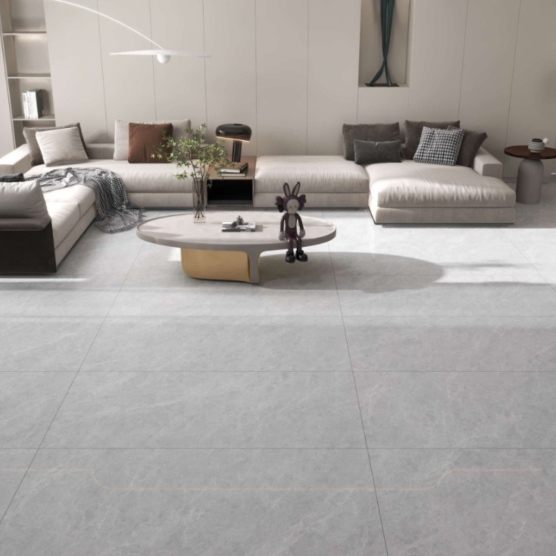 Non-Porous Polished 60X120 Porcelain Floor Tile Hygienic Surface Property