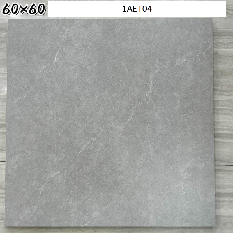 Hot Selling Modern Design Rustic Matte Interior 600*600mm Floor Wall Tile