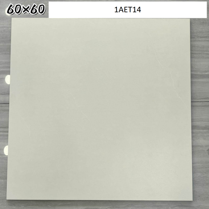 Terrazzo Porcelain Matte Floor Rustic Tiles for Floor Tiles/Wall Tile/ Indoor and Outdoor