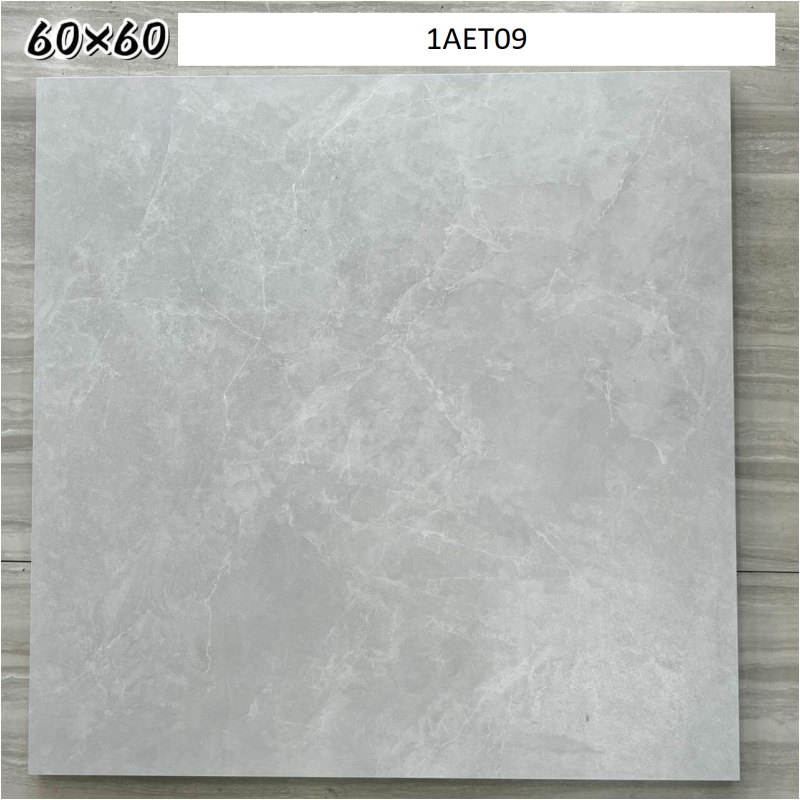 Manufacturers Terrazzo Series Porcelaintile & Matting Finished Rustic Tile Manufacturers